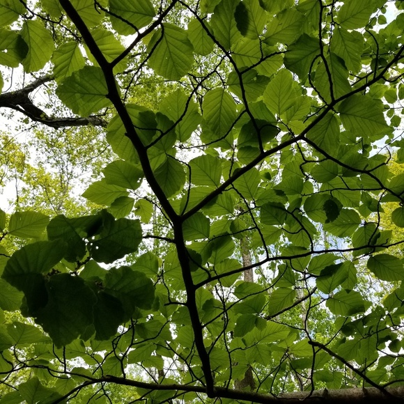 Meet your Posher, S - Picture 1 of 1